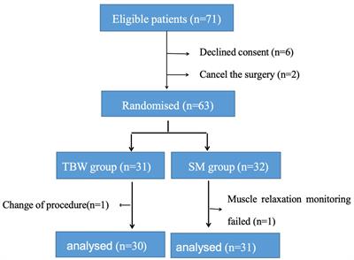 Feasibility of calculating <mark class="highlighted">rocuronium</mark> dosage by skeletal muscle weight in patients with obesity